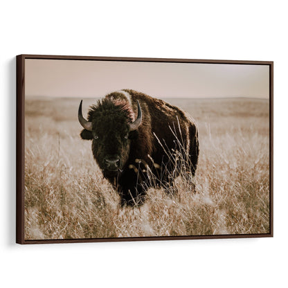Tallgrass Prairie Bison Canvas - Buffalo Canvas Print Canvas-Walnut Frame / 12 x 18 Inches Wall Art Teri James Photography