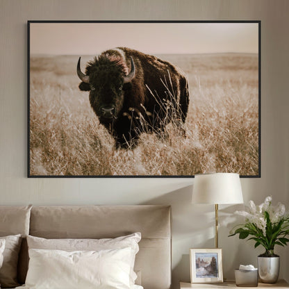 Tallgrass Prairie Bison Canvas - Buffalo Canvas Print Wall Art Teri James Photography