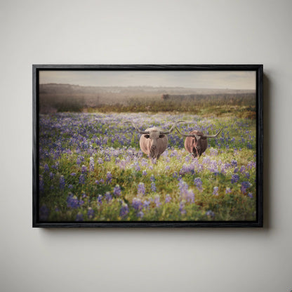 Texas Bluebonnets Canvas - Rustic Western Art