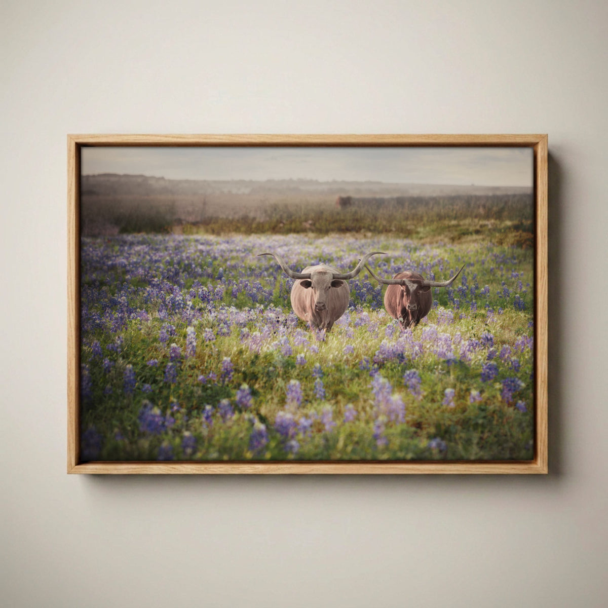 Texas Bluebonnets Canvas - Rustic Western Art Canvas-Natural Oak Float Frame / 12 x 18 Inches