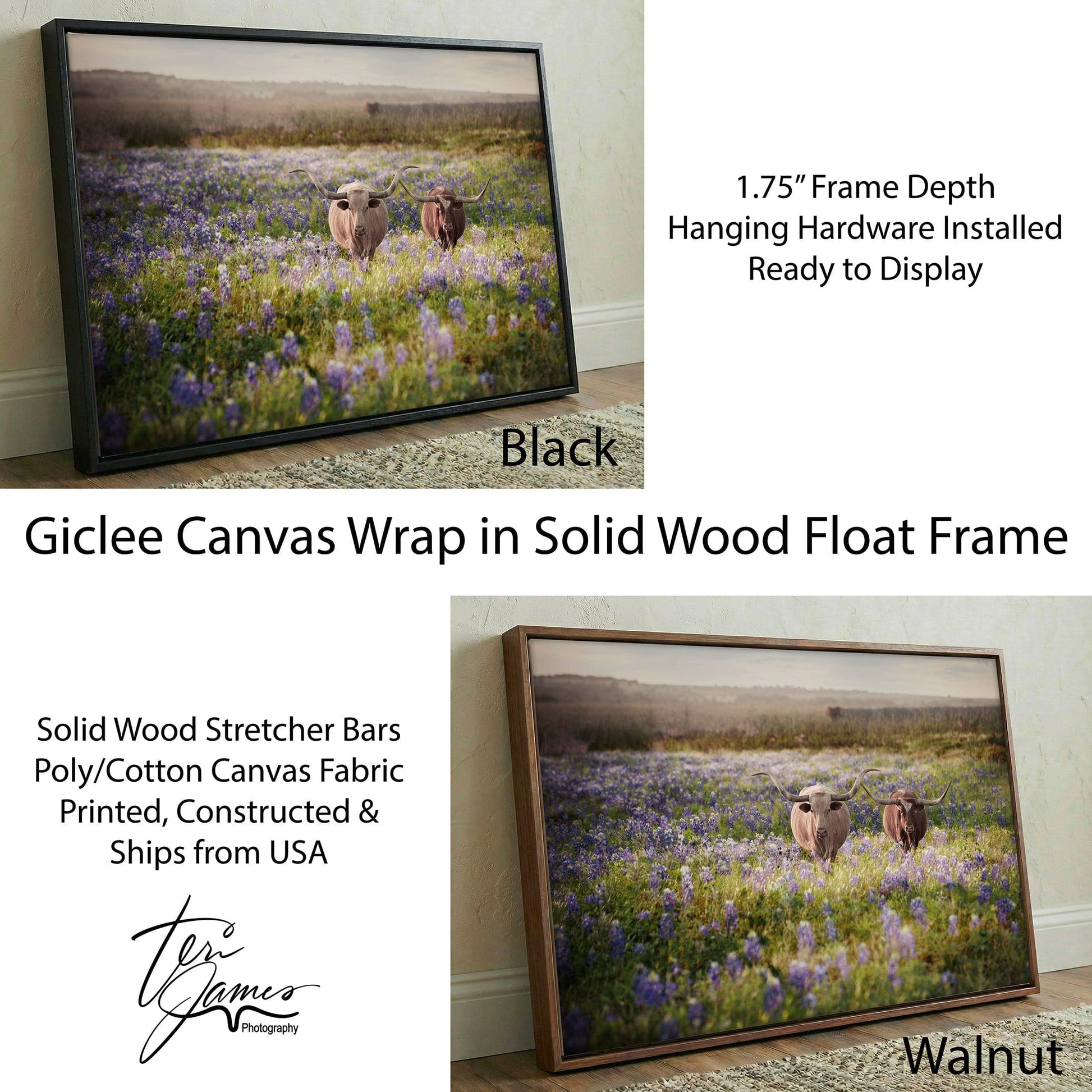 Texas Bluebonnets Canvas - Rustic Western Wall Art Featuring Longhorn Cattle Print Canvas-Black Frame / 12 x 18 Inches Wall Art Teri James Photography