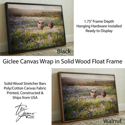 Texas Bluebonnets Canvas - Rustic Western Wall Art Featuring Longhorn Cattle Print Canvas-Black Frame / 12 x 18 Inches Wall Art Teri James Photography
