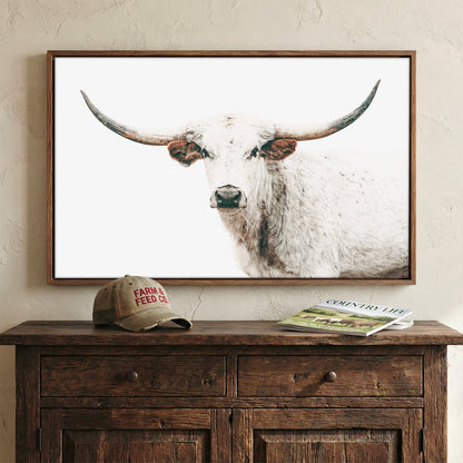 Texas Longhorn Art in Farmhouse Colors Wall Art Teri James Photography