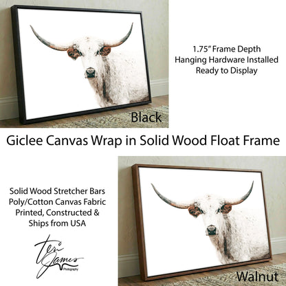 Texas Longhorn Art Rustic Home Decor - White Longhorn Canvas Print Farmhouse Wall Canvas-Black Frame / 12 x 18 Inches Wall Art Teri James Photography