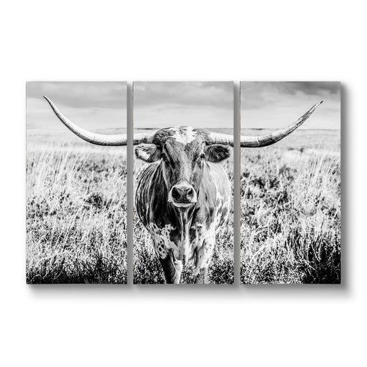 Texas Longhorn Black & White Triptych 48" x 72" (3 @ 24" x 48") Wall Art Teri James Photography