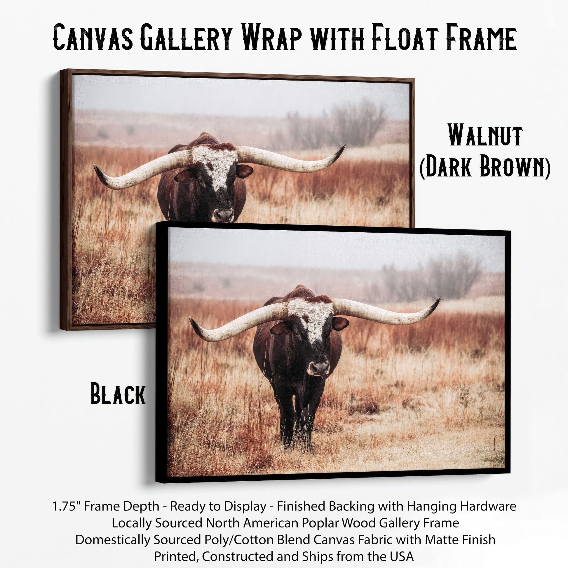 Texas Longhorn Bull Canvas Print Canvas-Black Frame / 12 x 18 Inches Wall Art Teri James Photography