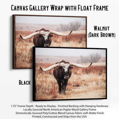 Texas Longhorn Bull Canvas Print Canvas-Black Frame / 12 x 18 Inches Wall Art Teri James Photography