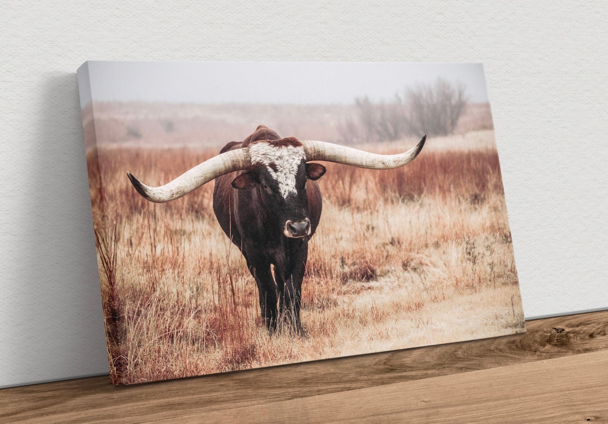Texas Longhorn Bull Canvas Print Wall Art Teri James Photography