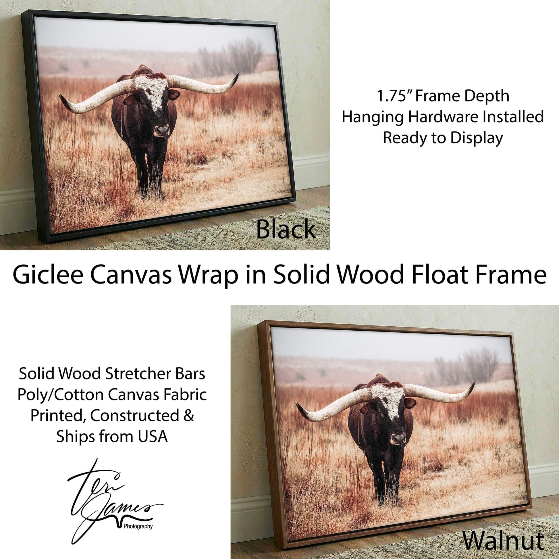 Texas Longhorn Bull Canvas - Rustic Western Wall Art for Living Room Decor Canvas-Black Frame / 12 x 18 Inches Wall Art Teri James Photography