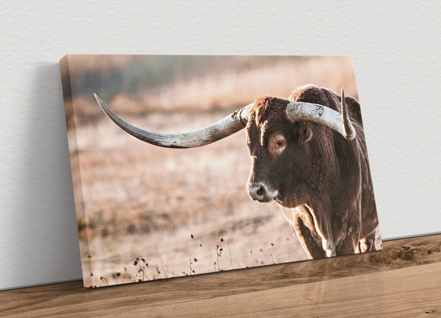 Texas Longhorn Bull Canvas Canvas-Unframed / 12 x 18 Inches Wall Art Teri James Photography
