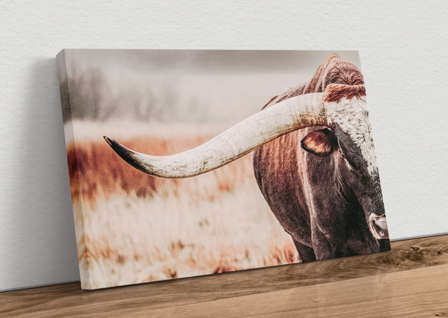 Texas Longhorn Bull Canvas Canvas-Unframed / 12 x 18 Inches Wall Art Teri James Photography