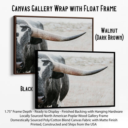Texas Longhorn Bull Closeup Photo Canvas-Black Frame / 12 x 18 Inches Wall Art Teri James Photography
