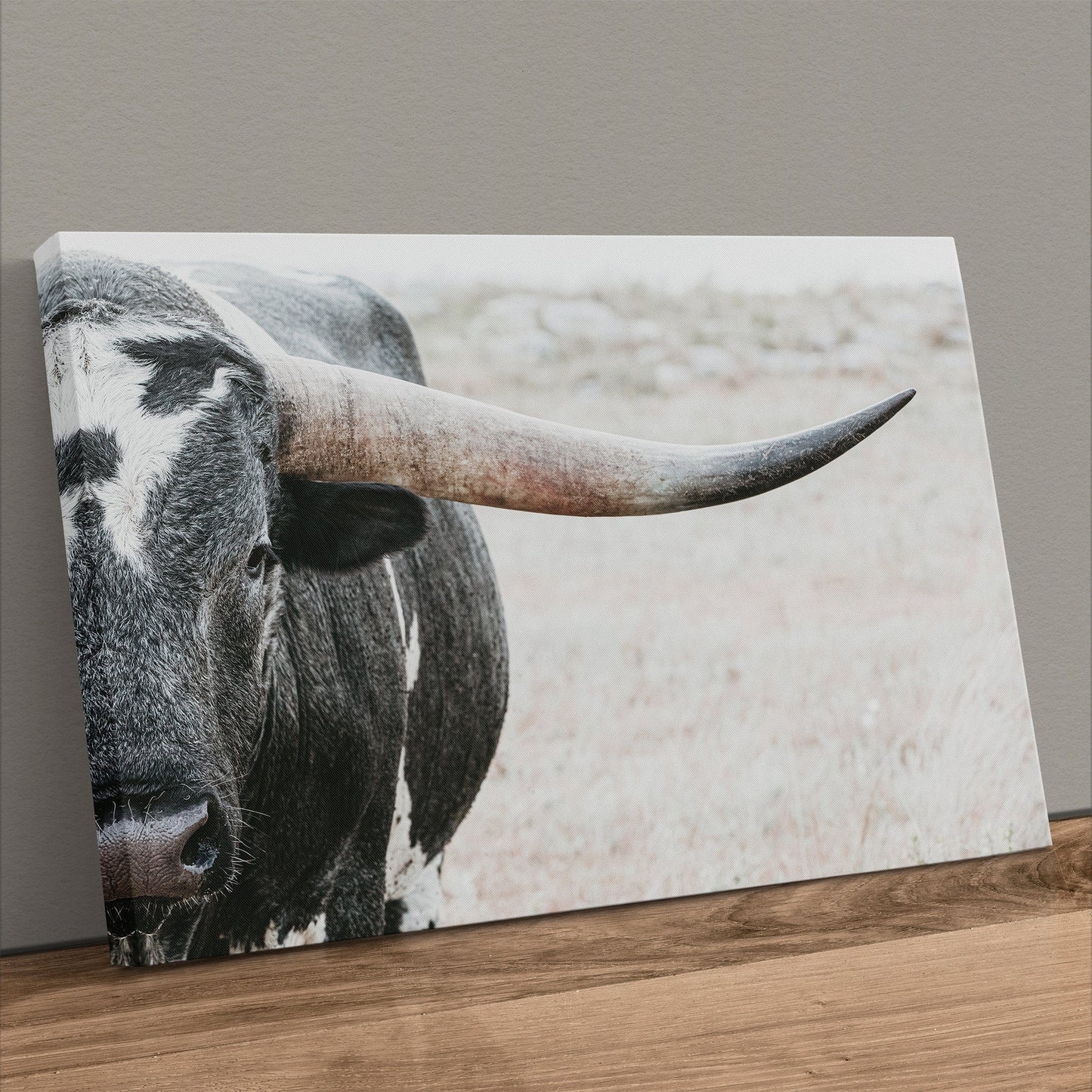 Texas Longhorn Bull Closeup Photo Wall Art Teri James Photography