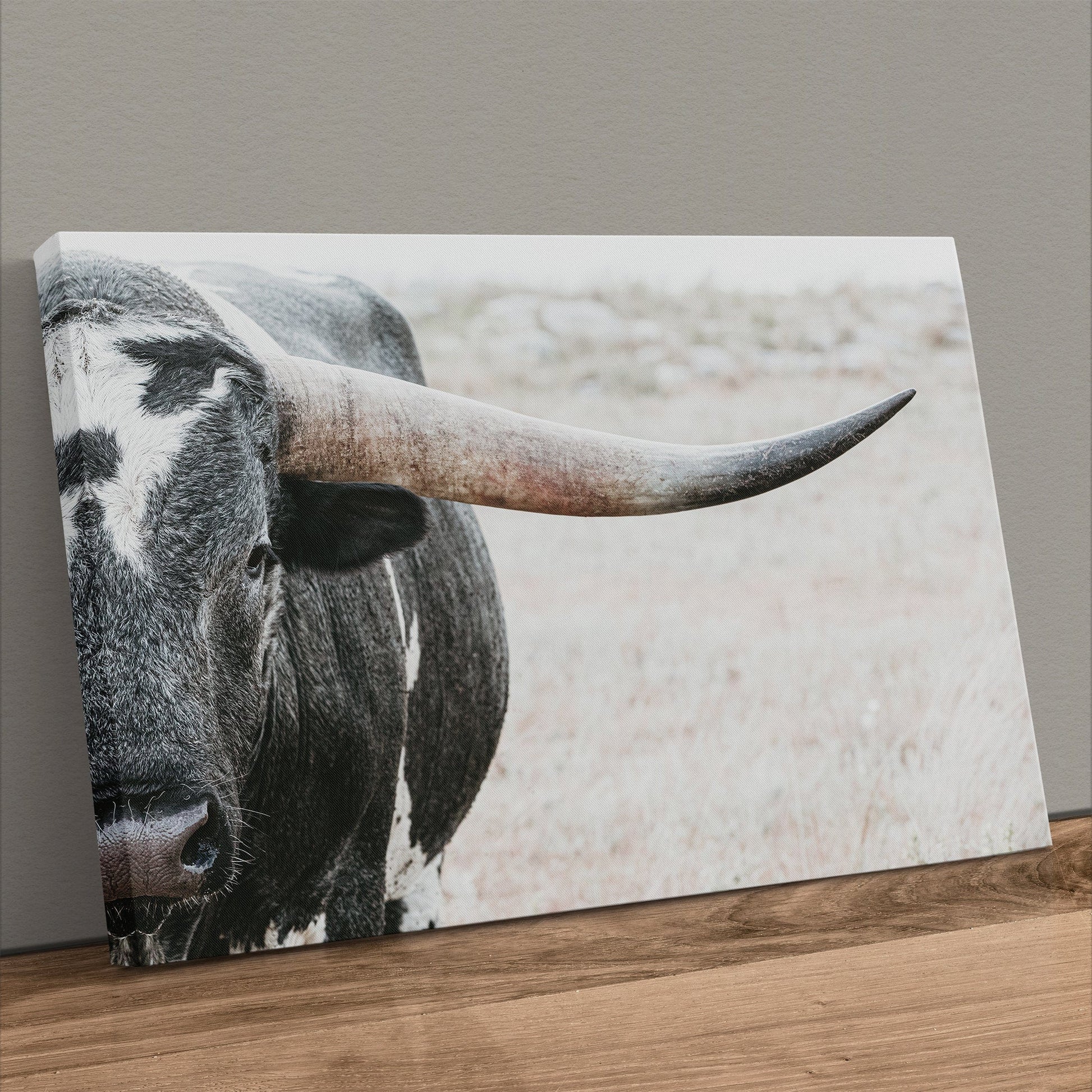 Texas Longhorn Bull Closeup Photo Wall Art Teri James Photography