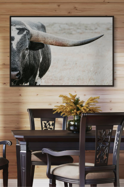 Texas Longhorn Bull Closeup Photo Wall Art Teri James Photography