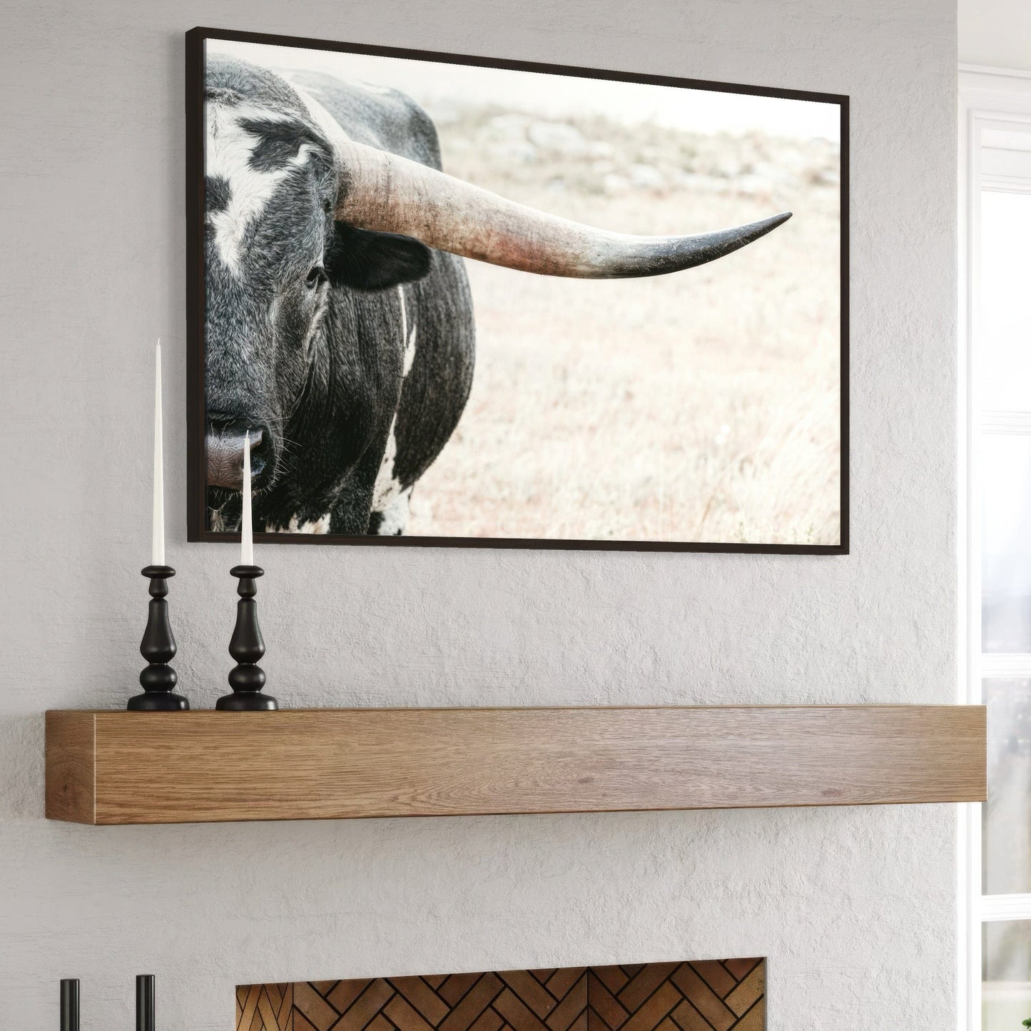 Texas Longhorn Bull Closeup Photo Wall Art Teri James Photography