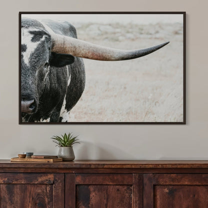 Texas Longhorn Bull Closeup Photo Wall Art Teri James Photography