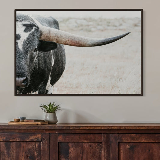 Texas Longhorn Bull Closeup Photo Wall Art Teri James Photography