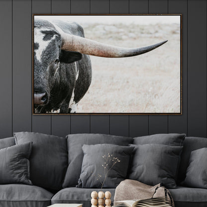 Texas Longhorn Bull Closeup Photo Wall Art Teri James Photography