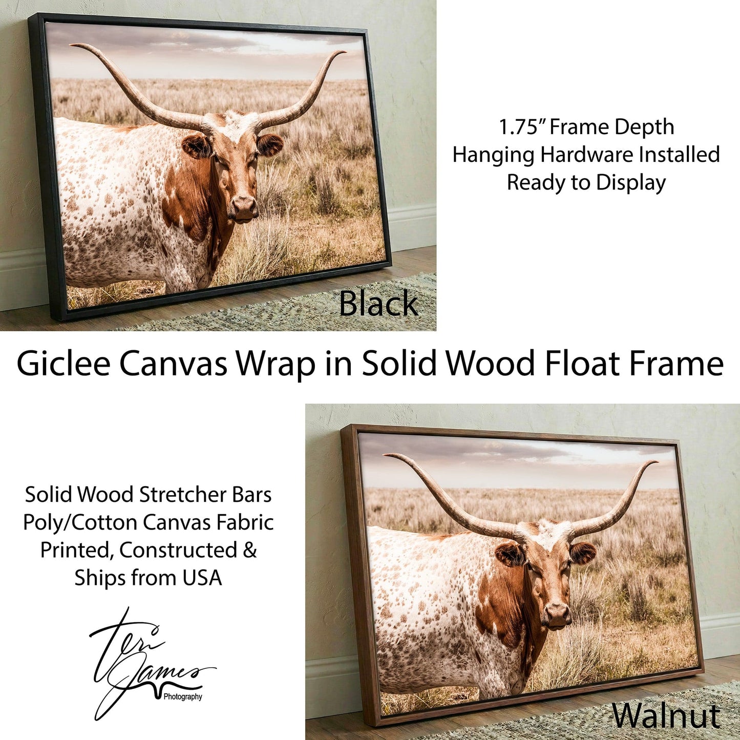 Texas Longhorn Canvas Art – Western Wall Art Rustic Farmhouse Decor Print Canvas-Black Frame / 12 x 18 Inches Wall Art Teri James Photography