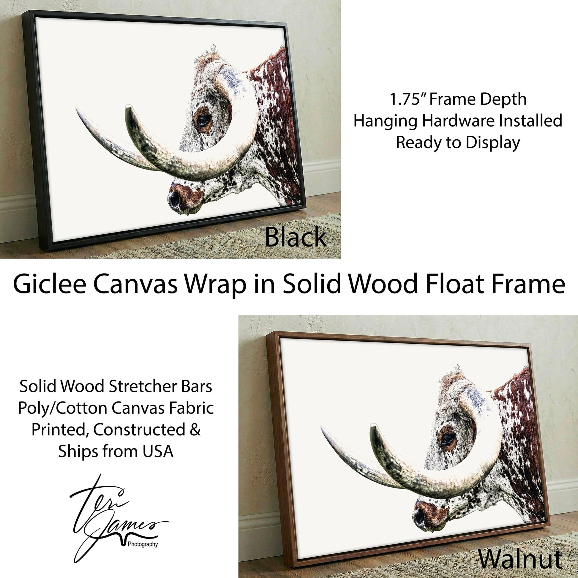 Texas Longhorn Canvas - Closeup Wall Art Featuring Rustic Steer Horn Artwork Canvas-Black Frame / 12 x 18 Inches Wall Art Teri James Photography