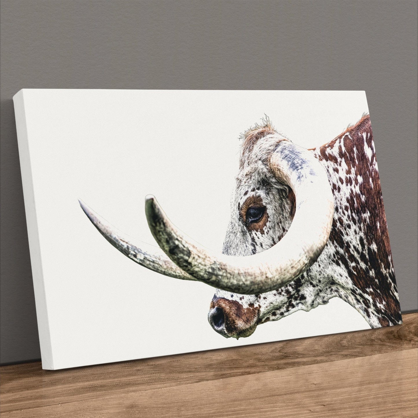 Texas Longhorn Canvas - Closeup Wall Art Featuring Rustic Steer Horn Artwork Canvas-Unframed / 12 x 18 Inches Wall Art Teri James Photography