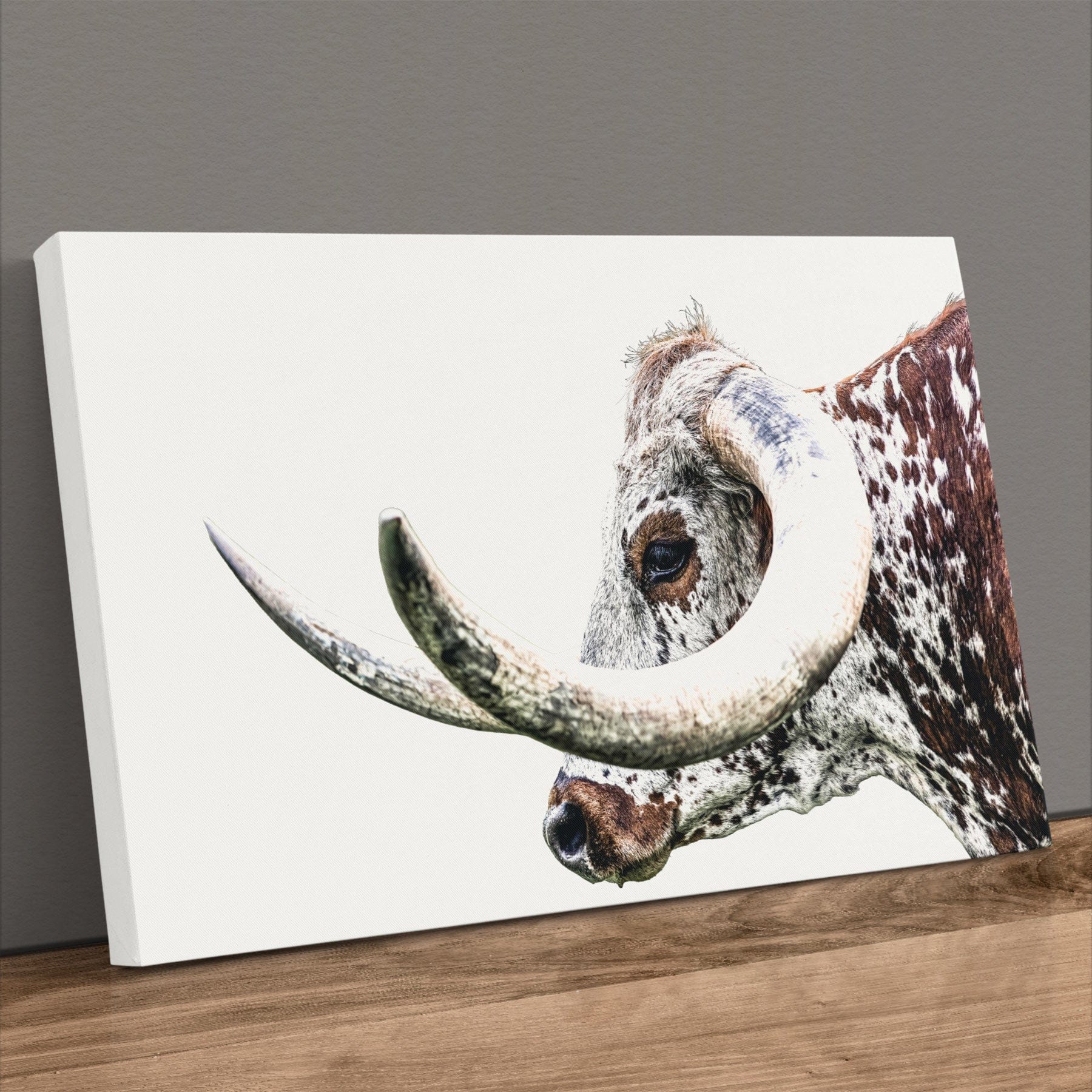 Texas Longhorn Canvas - Closeup Wall Art Featuring Rustic Steer Horn Artwork Canvas-Unframed / 12 x 18 Inches Wall Art Teri James Photography