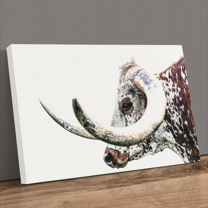 Texas Longhorn Canvas - Closeup Wall Art Featuring Rustic Steer Horn Artwork Canvas-Unframed / 12 x 18 Inches Wall Art Teri James Photography