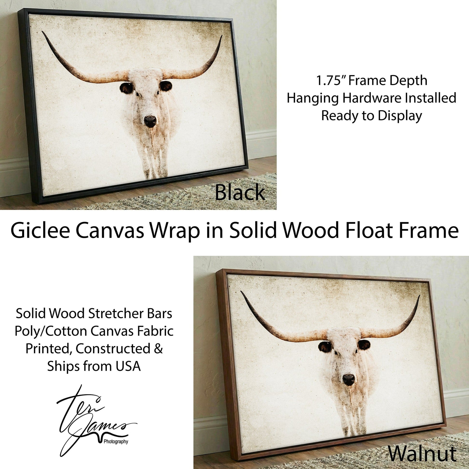 Texas Longhorn Canvas - Modern Farmhouse Rustic Wall Art | Durable High Quality Print Canvas-Black Frame / 12 x 18 Inches Wall Art Teri James Photography