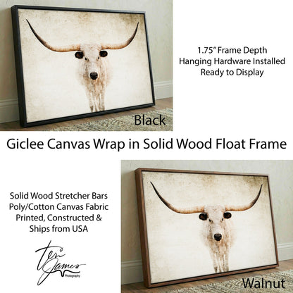 Texas Longhorn Canvas - Modern Farmhouse Rustic Wall Art | Durable High Quality Print Canvas-Black Frame / 12 x 18 Inches Wall Art Teri James Photography