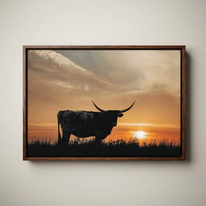Texas Longhorn Canvas Print – Rustic Sunset