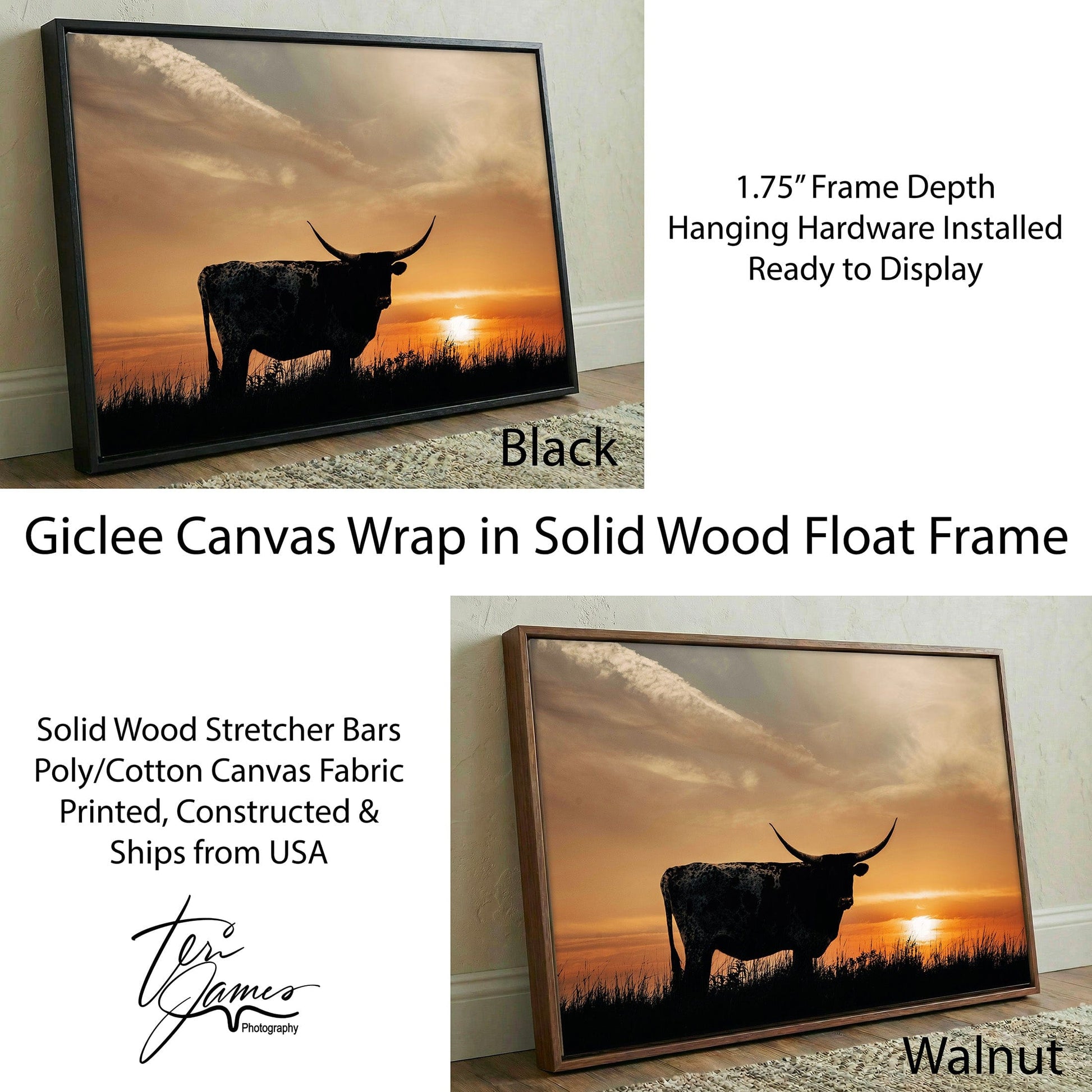 Texas Longhorn Canvas Print – Rustic Sunset Wall Art for Southwestern Home Decor Canvas-Black Frame / 12 x 18 Inches Wall Art Teri James Photography