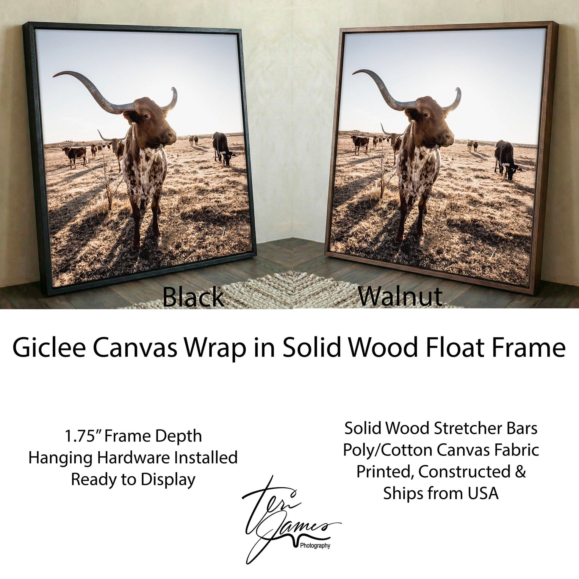 Texas Longhorn Canvas - Rustic Square Canvas Art for Western Wall Decor Canvas-Black Frame / 16 x 16 Inches Wall Art Teri James Photography