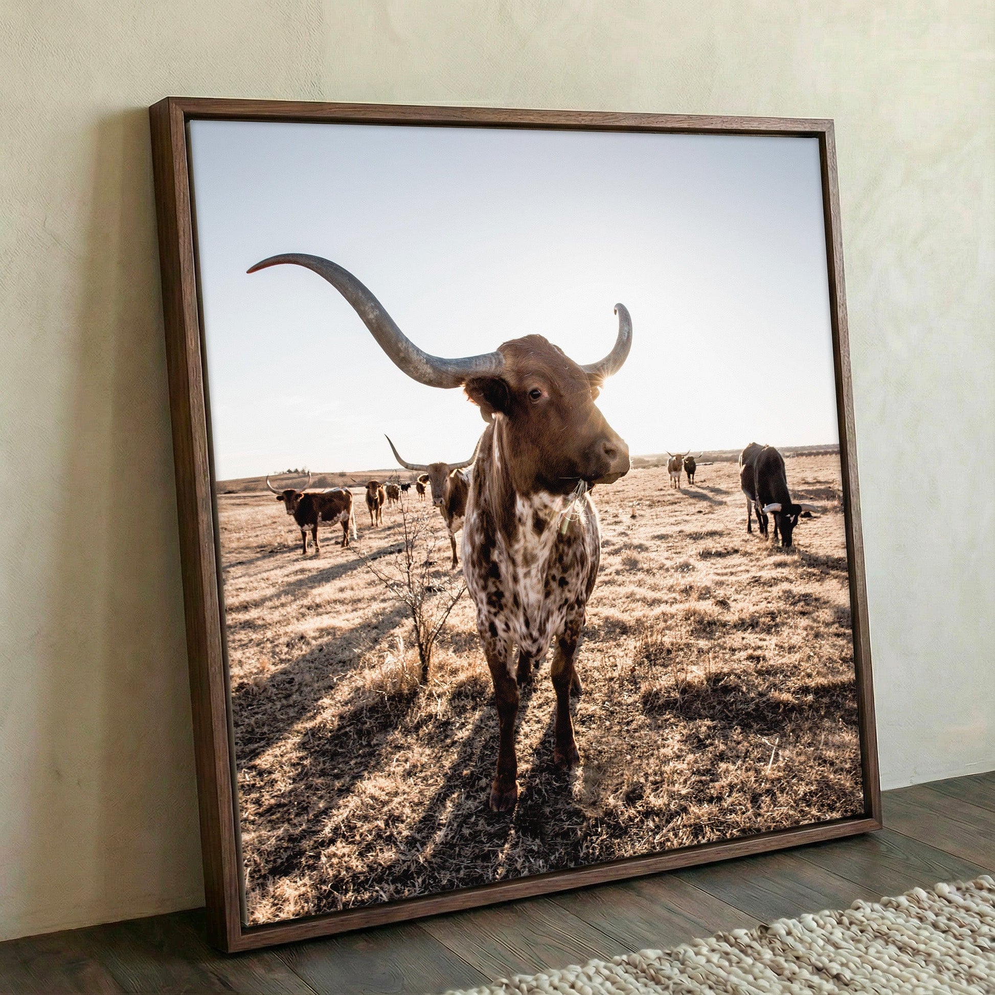 Texas Longhorn Canvas - Rustic Square Canvas Art for Western Wall Decor Wall Art Teri James Photography