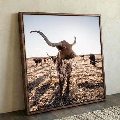 Texas Longhorn Canvas - Rustic Square Canvas Art for Western Wall Decor Wall Art Teri James Photography