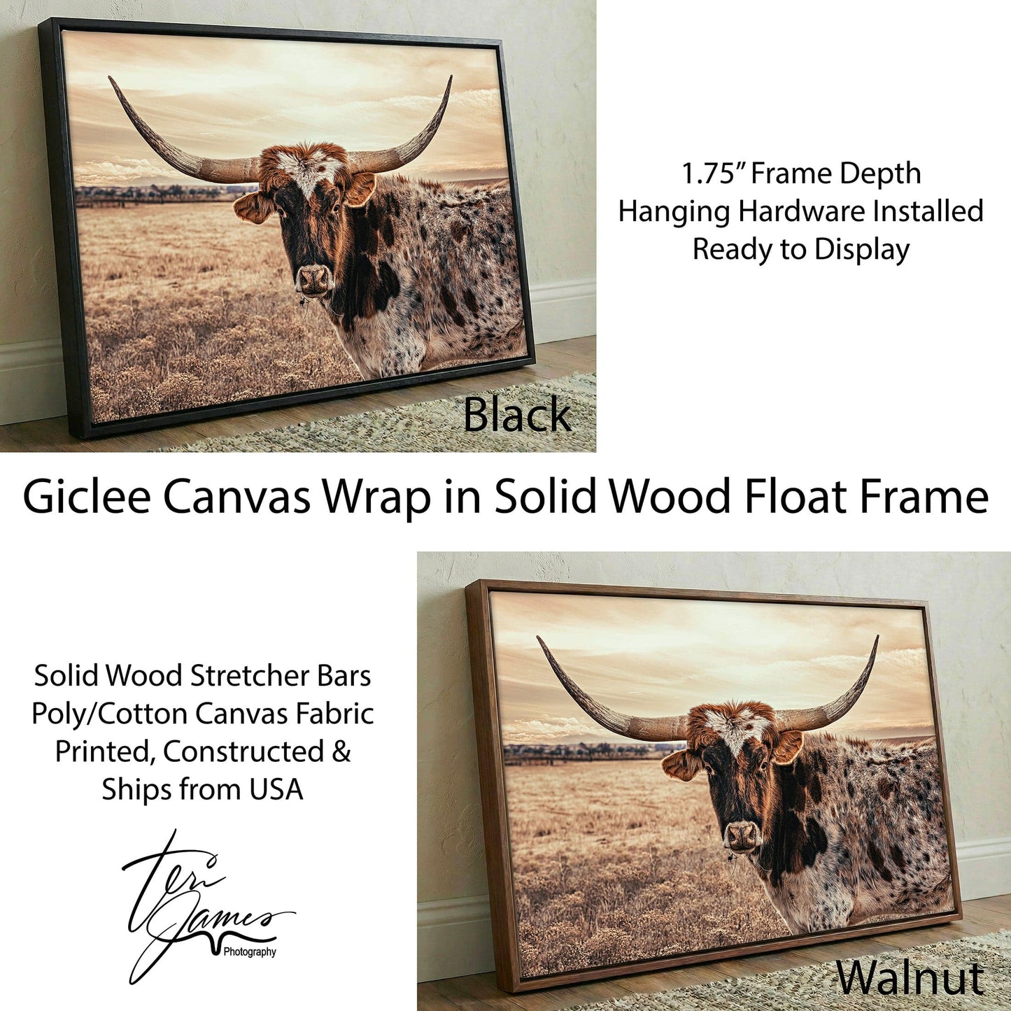 Texas Longhorn Canvas - Speckled Cow Wall Art for Rustic Western Decor Canvas-Black Frame / 12 x 18 Inches Wall Art Teri James Photography