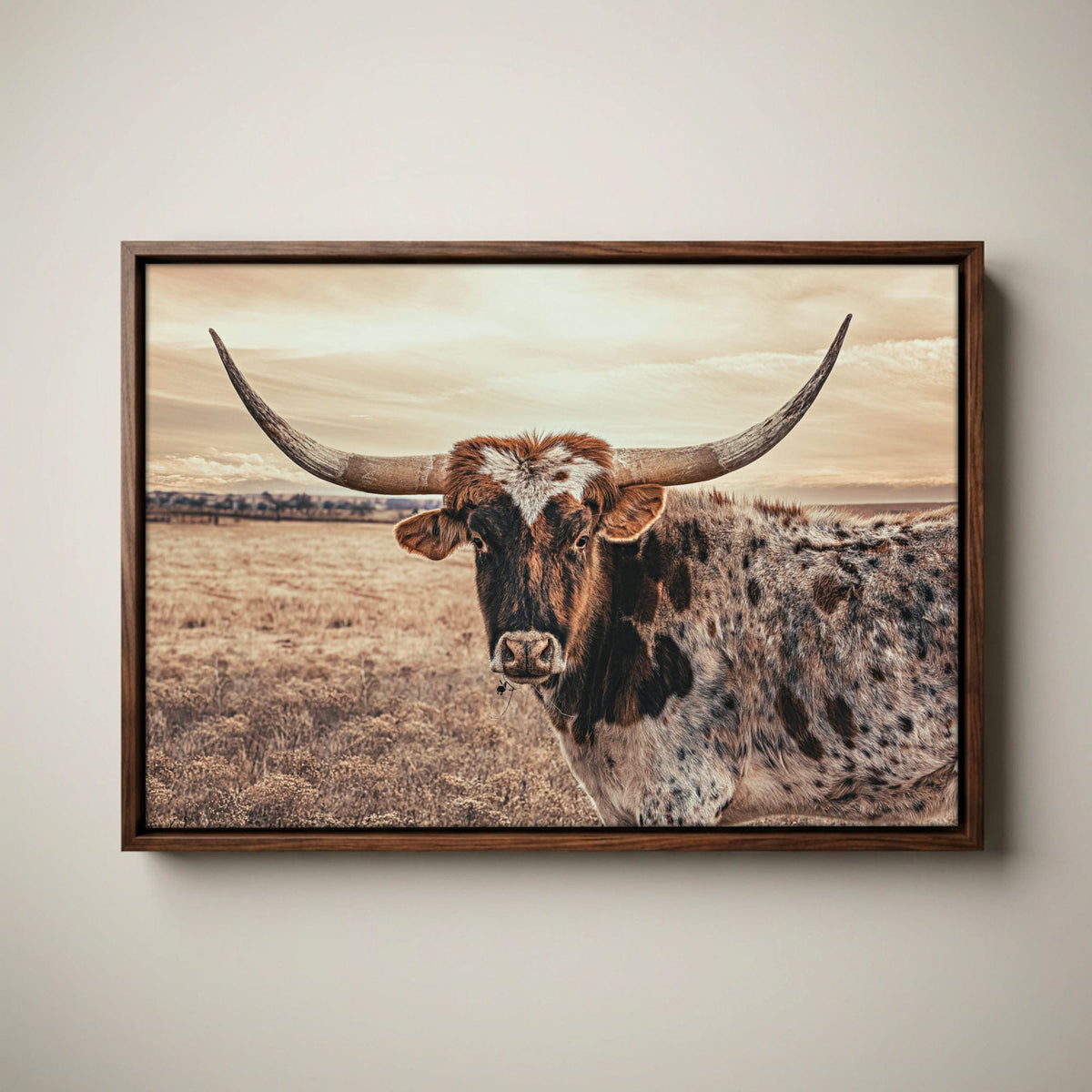 Texas Longhorn Canvas - Speckled Cow Wall Art