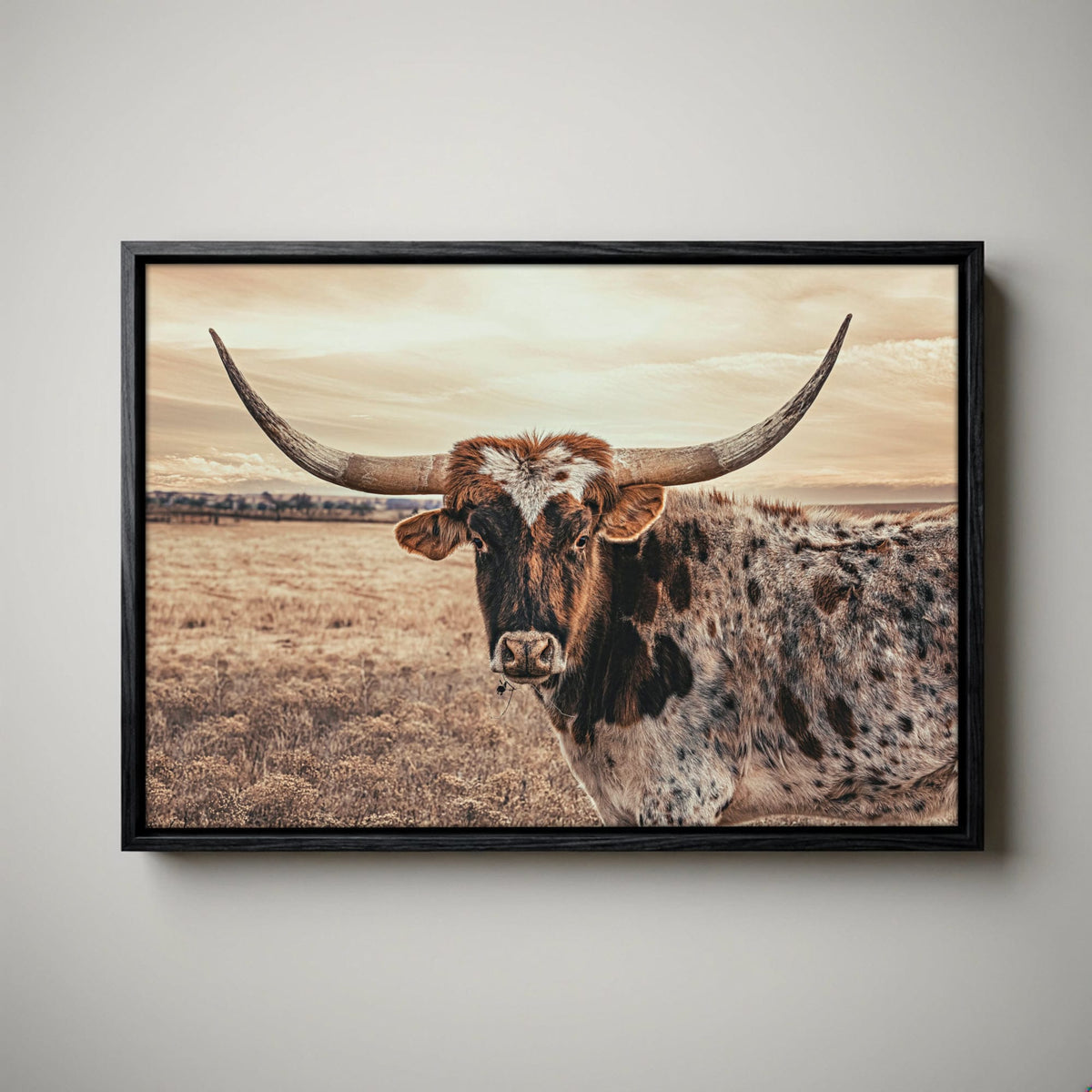 Texas Longhorn Canvas - Speckled Cow Wall Art