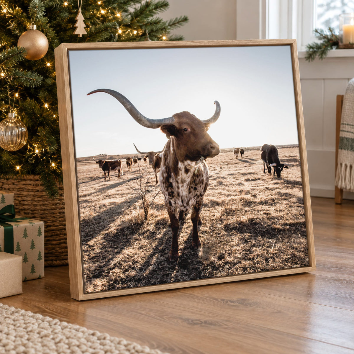 Texas Longhorn Canvas - Square Canvas Art