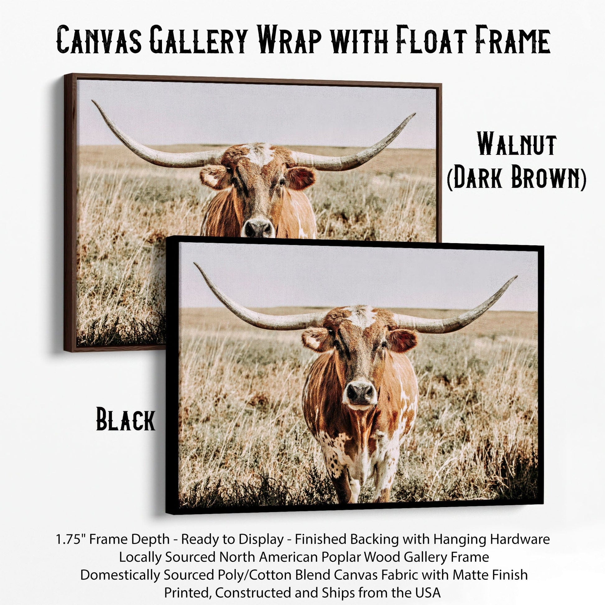 Texas Longhorn Canvas Wall Art Canvas-Black Frame / 12 x 18 Inches Wall Art Teri James Photography