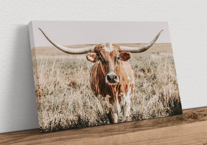 Texas Longhorn Canvas Wall Art Canvas-Unframed / 12 x 18 Inches Wall Art Teri James Photography