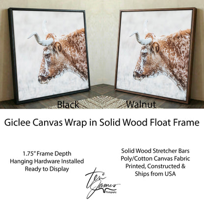 Texas Longhorn Cattle Art – Rustic Sepia Wall Art for Farmhouse Decor Canvas-Black Frame / 16 x 16 Inches Wall Art Teri James Photography