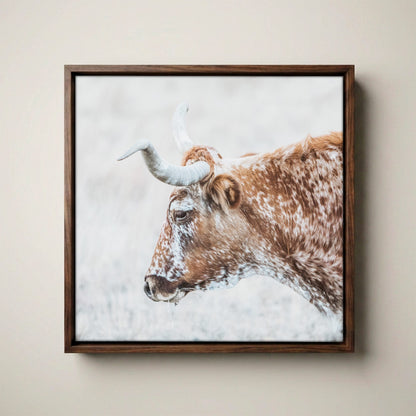 Texas Longhorn Cattle Art – Rustic Sepia Wall Art