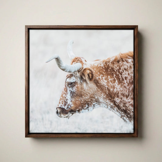 Texas Longhorn Cattle Art – Rustic Sepia Wall Art