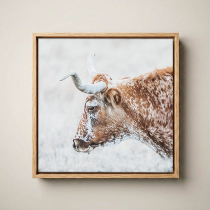 Texas Longhorn Cattle Art – Rustic Sepia Wall Art Canvas-Natural Oak Float Frame / 16 x 16 Inches