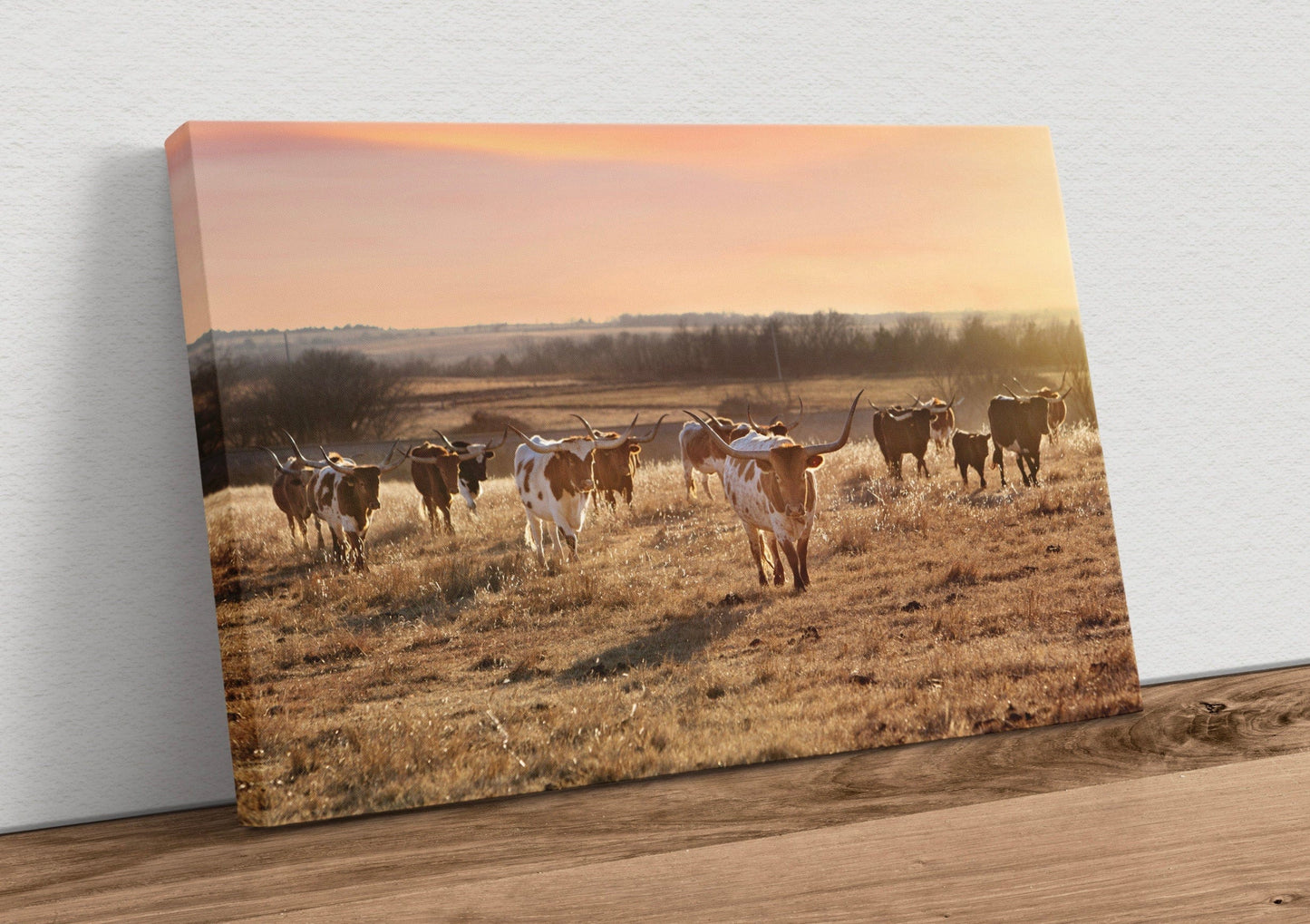 Texas Longhorn Cattle Herd at Sunset Canvas-Unframed / 12 x 18 Inches Wall Art Teri James Photography