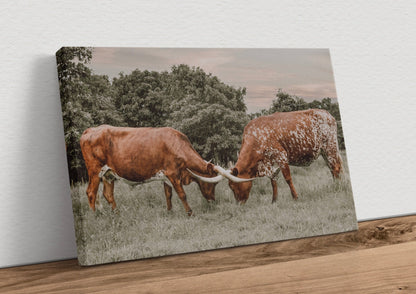 Texas Longhorn Cattle Wall Art in Muted Colors Canvas-Unframed / 12 x 18 Inches Wall Art Teri James Photography
