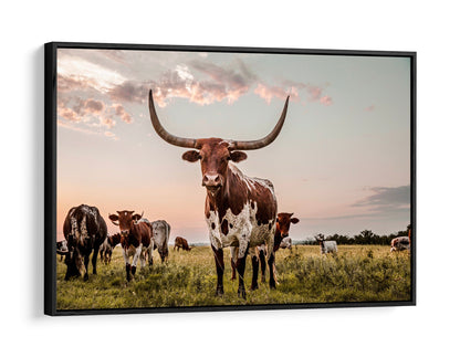 Texas Longhorn Cow Canvas Art Canvas-Black Frame / 12 x 18 Inches Wall Art Teri James Photography