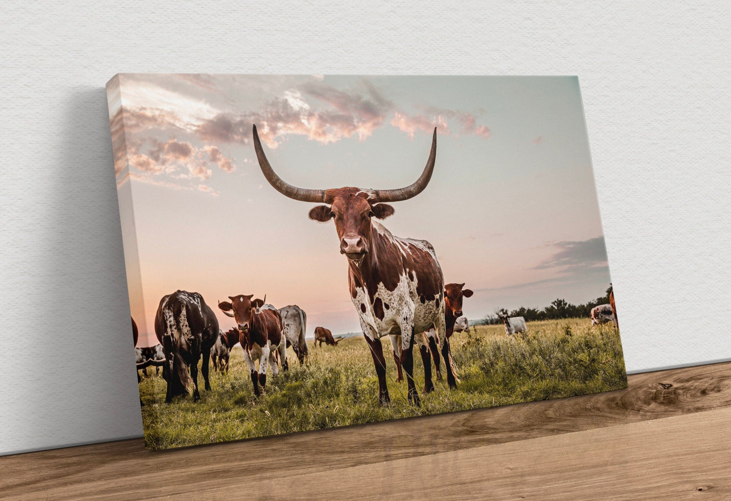 Texas Longhorn Cow Canvas Art Canvas-Unframed / 12 x 18 Inches Wall Art Teri James Photography