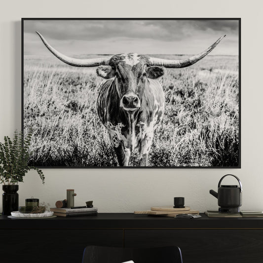 Texas Longhorn Cow Canvas Black and White Wall Art Teri James Photography